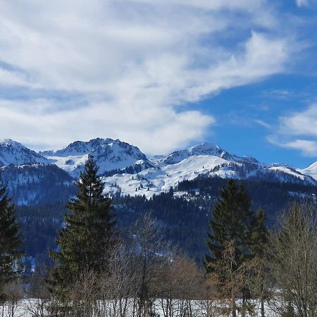 Ferienwohnung App. Mountain View フィーバーブルン エクステリア 写真