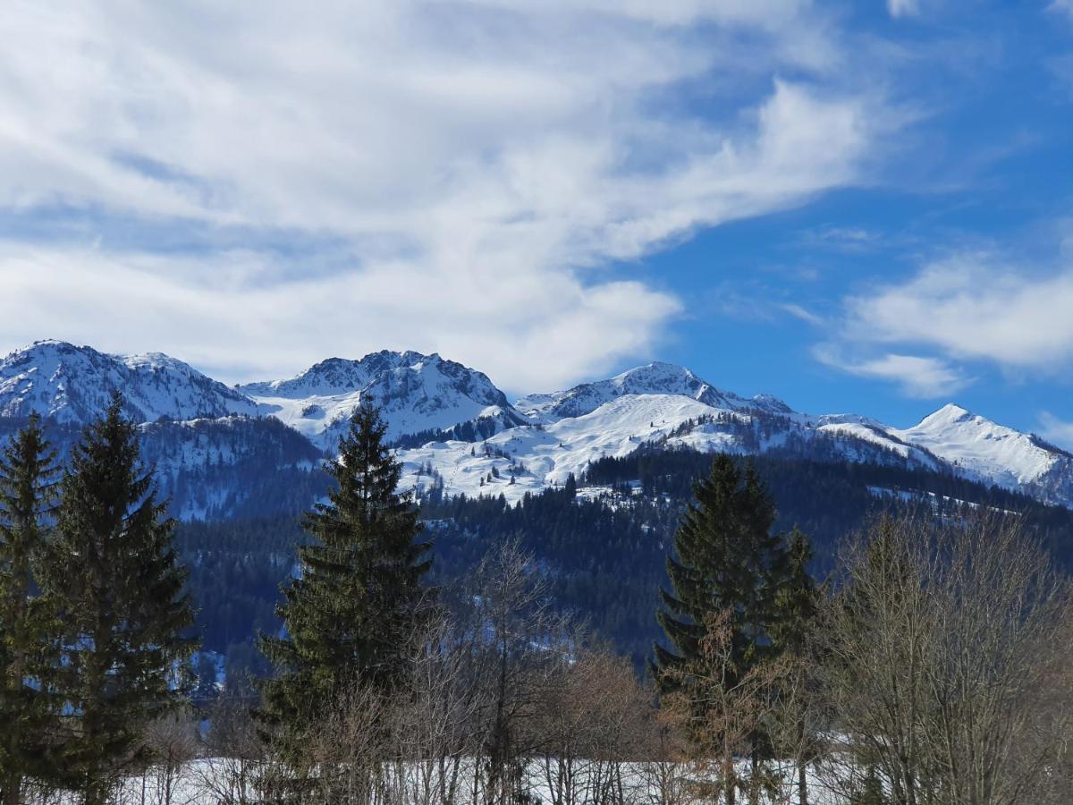 Ferienwohnung App. Mountain View フィーバーブルン エクステリア 写真