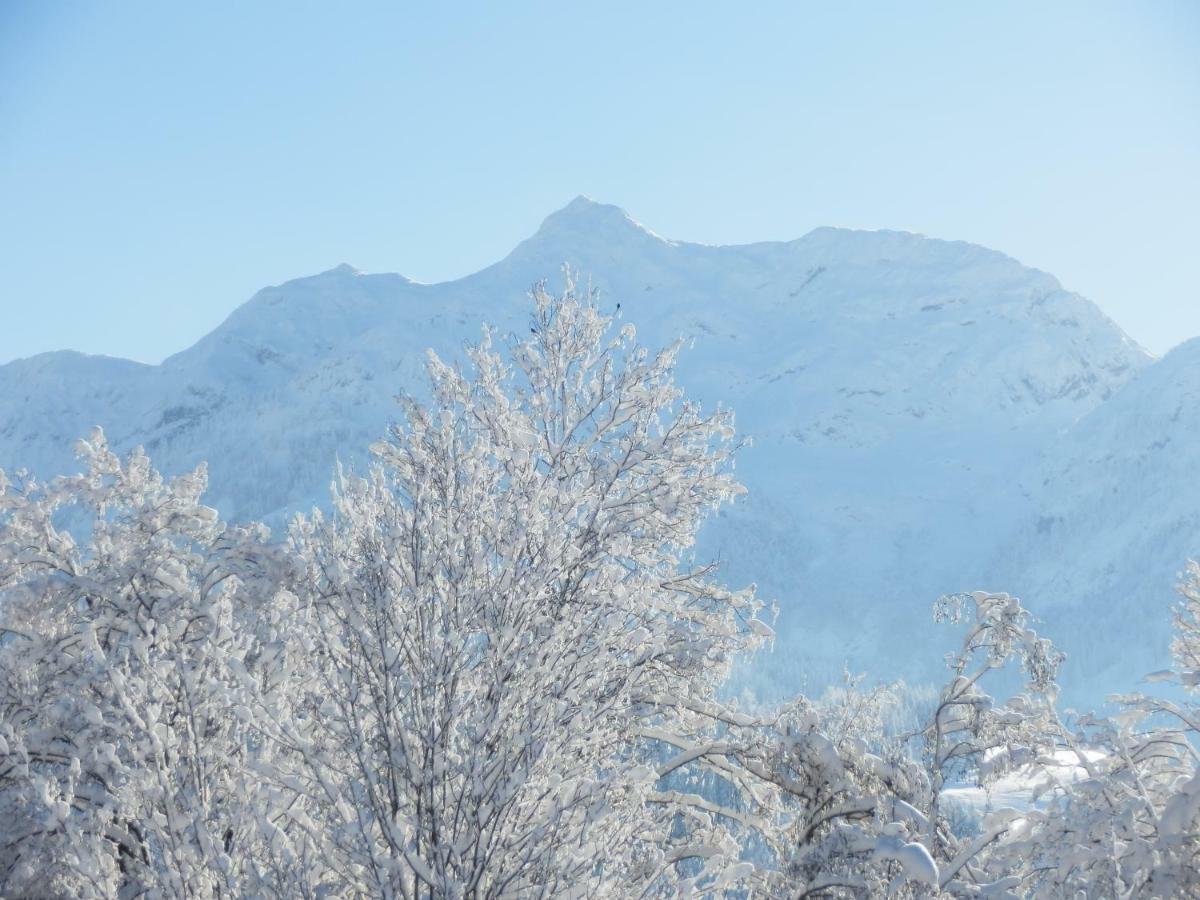 Ferienwohnung App. Mountain View フィーバーブルン エクステリア 写真